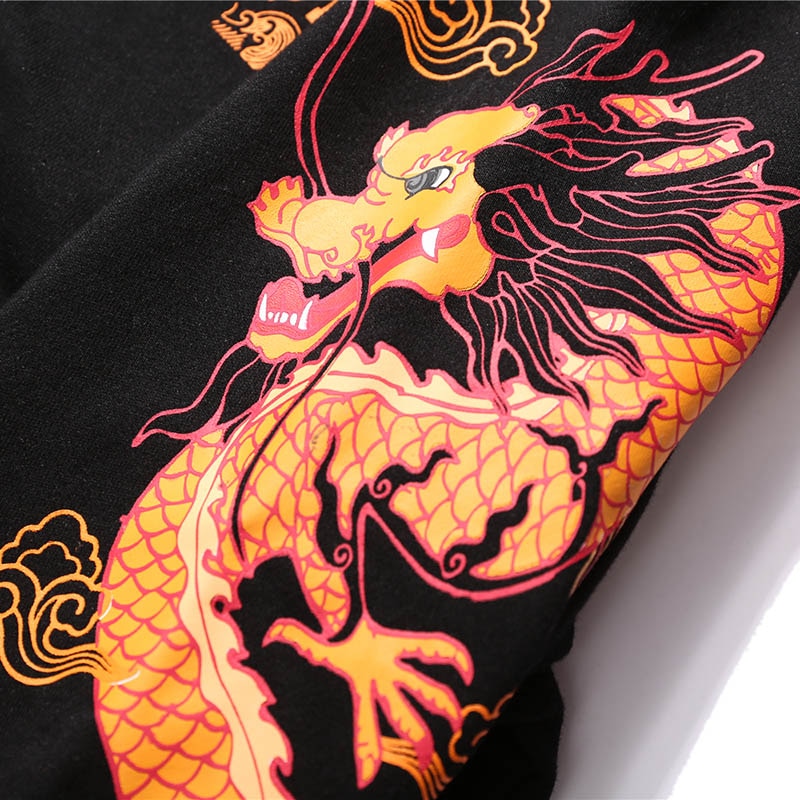 Ancient Dragon Print Hoodie